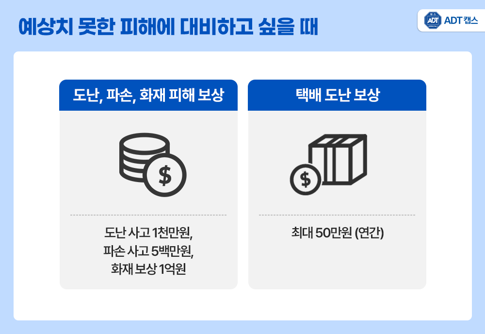 현관 CCTV, 택배 분실, 가정용 홈캠, 아파트 택배 도난, 캡스홈